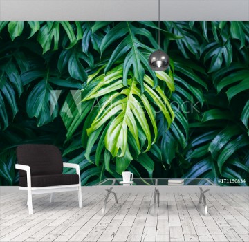 Picture of Tropical green leaves on dark background nature summer forest plant concept
